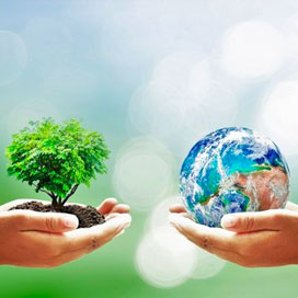 Environmental sustainability